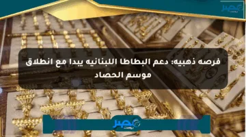 فرصة ذهبية: دعم البطاطا اللبنانية يبدأ مع انطلاق موسم الحصاد
